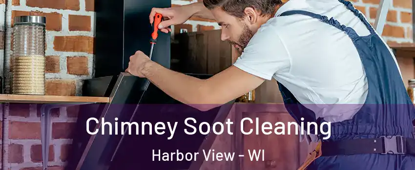 Chimney Soot Cleaning Harbor View - WI