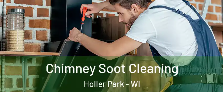 Chimney Soot Cleaning Holler Park - WI