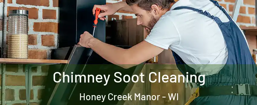 Chimney Soot Cleaning Honey Creek Manor - WI