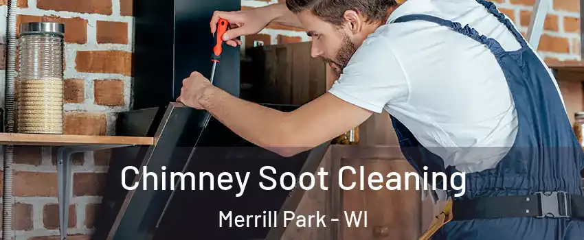 Chimney Soot Cleaning Merrill Park - WI