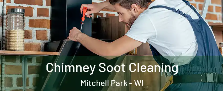 Chimney Soot Cleaning Mitchell Park - WI