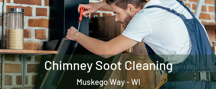 Chimney Soot Cleaning Muskego Way - WI