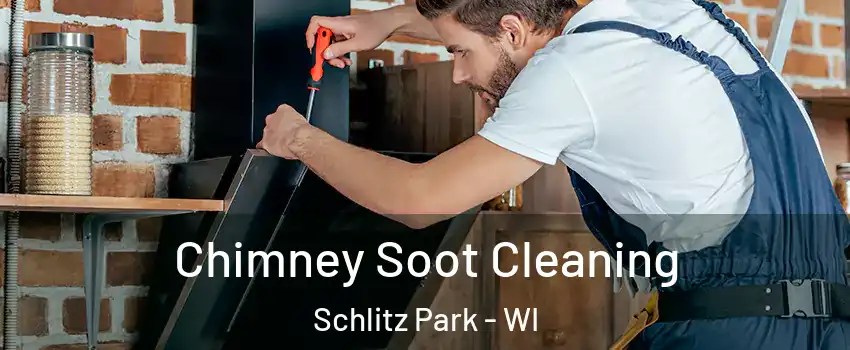 Chimney Soot Cleaning Schlitz Park - WI