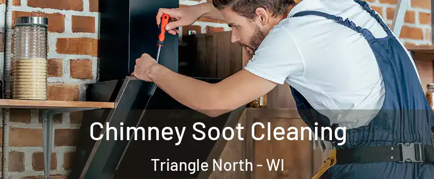 Chimney Soot Cleaning Triangle North - WI