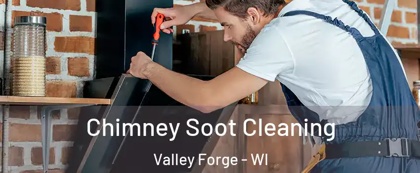 Chimney Soot Cleaning Valley Forge - WI