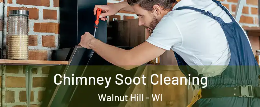 Chimney Soot Cleaning Walnut Hill - WI