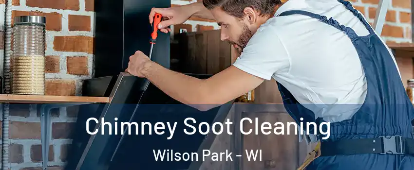 Chimney Soot Cleaning Wilson Park - WI