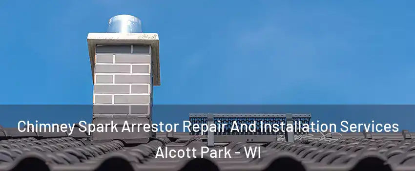 Chimney Spark Arrestor Repair And Installation Services Alcott Park - WI