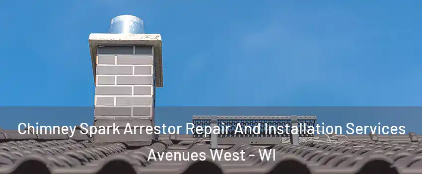 Chimney Spark Arrestor Repair And Installation Services Avenues West - WI