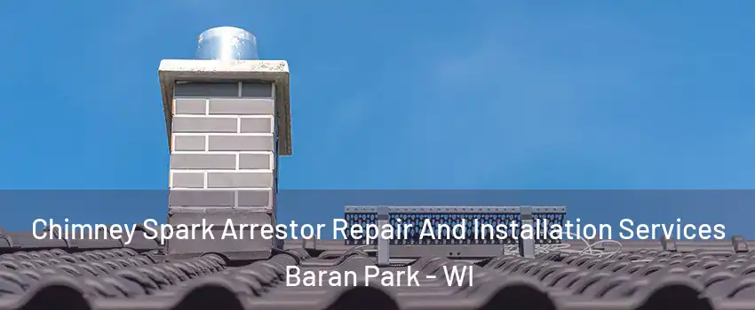 Chimney Spark Arrestor Repair And Installation Services Baran Park - WI