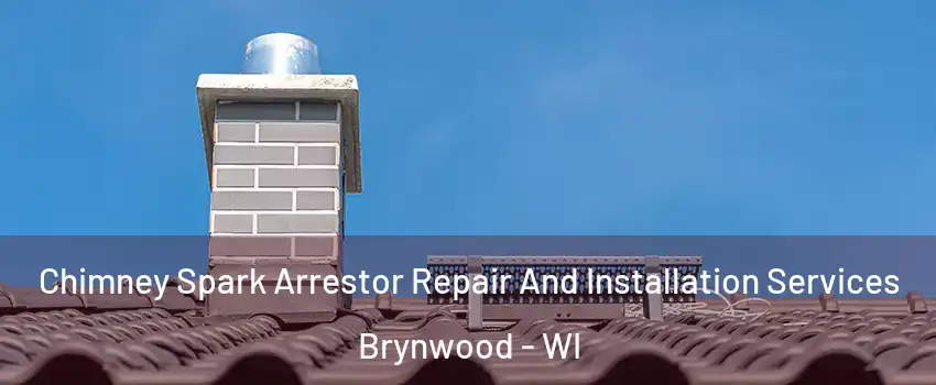 Chimney Spark Arrestor Repair And Installation Services Brynwood - WI