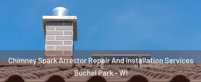 Chimney Spark Arrestor Repair And Installation Services Buchel Park - WI