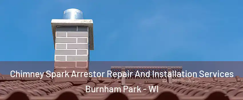 Chimney Spark Arrestor Repair And Installation Services Burnham Park - WI