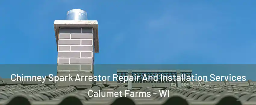 Chimney Spark Arrestor Repair And Installation Services Calumet Farms - WI