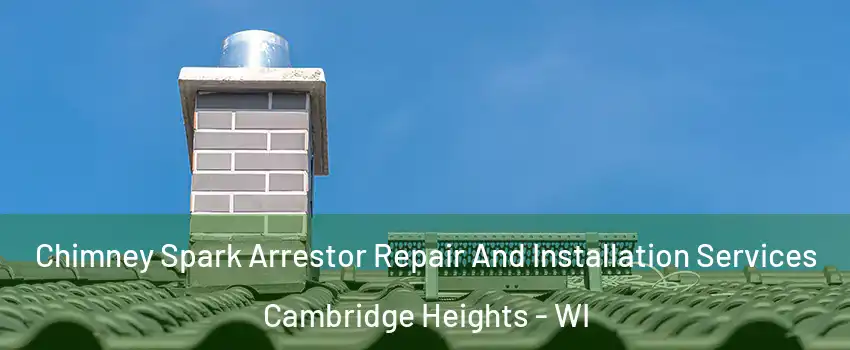 Chimney Spark Arrestor Repair And Installation Services Cambridge Heights - WI