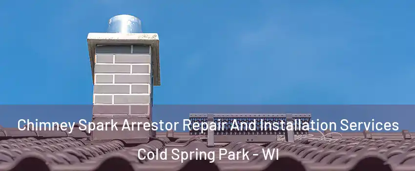 Chimney Spark Arrestor Repair And Installation Services Cold Spring Park - WI