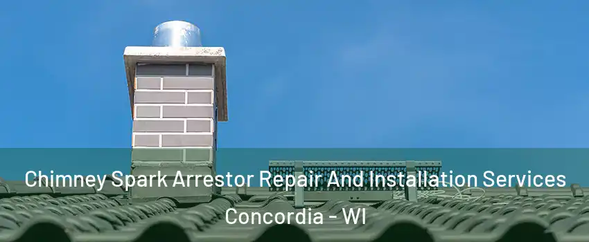 Chimney Spark Arrestor Repair And Installation Services Concordia - WI