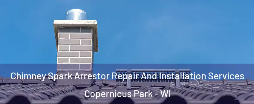 Chimney Spark Arrestor Repair And Installation Services Copernicus Park - WI