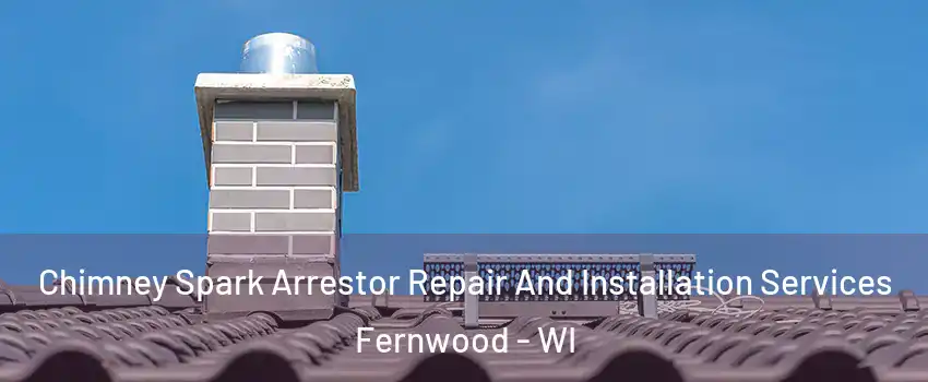 Chimney Spark Arrestor Repair And Installation Services Fernwood - WI