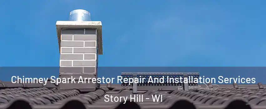 Chimney Spark Arrestor Repair And Installation Services Story Hill - WI