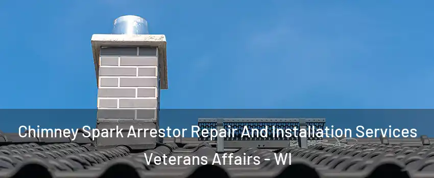 Chimney Spark Arrestor Repair And Installation Services Veterans Affairs - WI