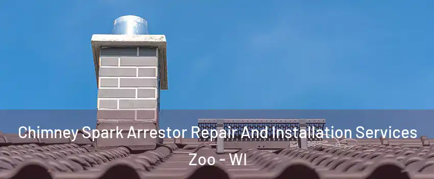 Chimney Spark Arrestor Repair And Installation Services Zoo - WI