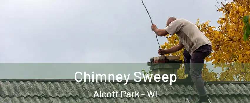 Chimney Sweep Alcott Park - WI