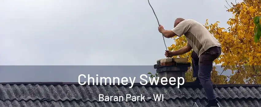 Chimney Sweep Baran Park - WI