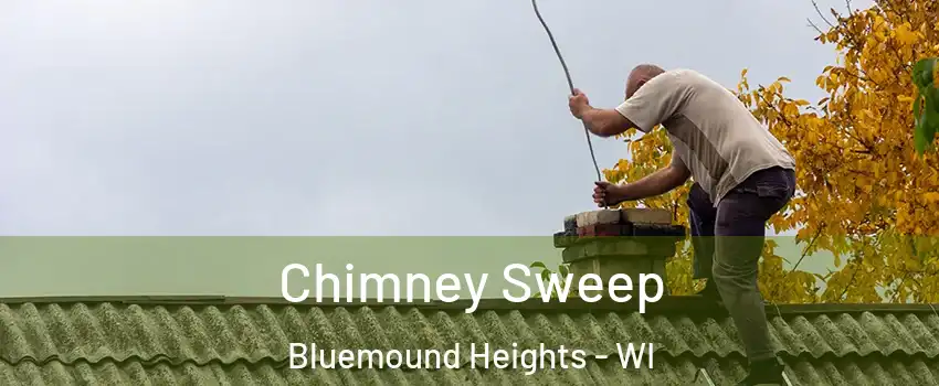 Chimney Sweep Bluemound Heights - WI