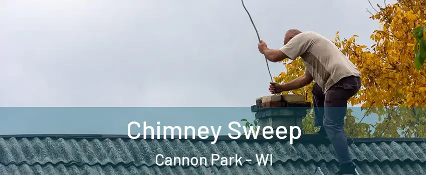 Chimney Sweep Cannon Park - WI