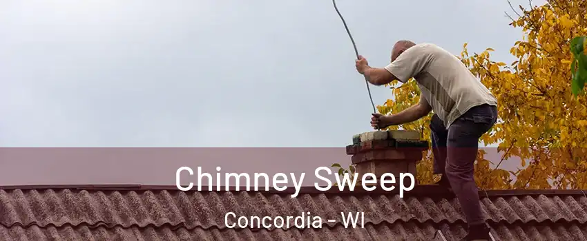 Chimney Sweep Concordia - WI