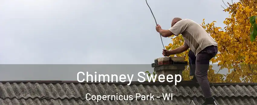 Chimney Sweep Copernicus Park - WI