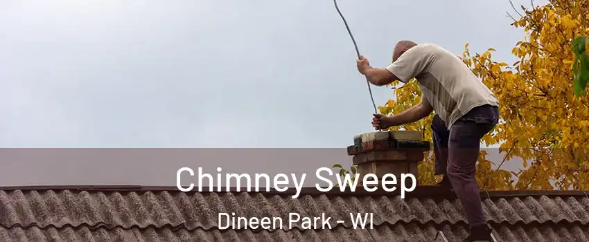 Chimney Sweep Dineen Park - WI