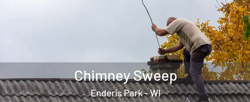 Chimney Sweep Enderis Park - WI