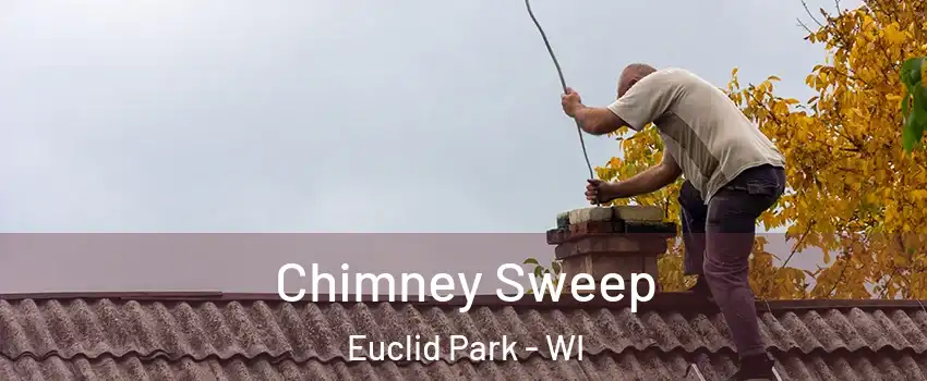 Chimney Sweep Euclid Park - WI