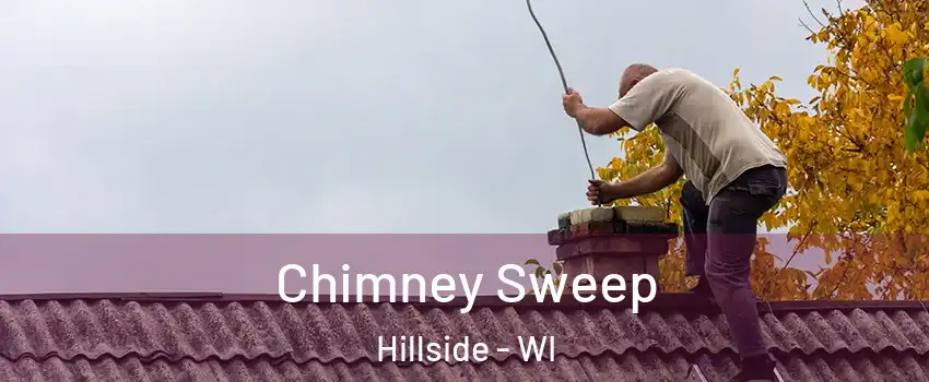 Chimney Sweep Hillside - WI