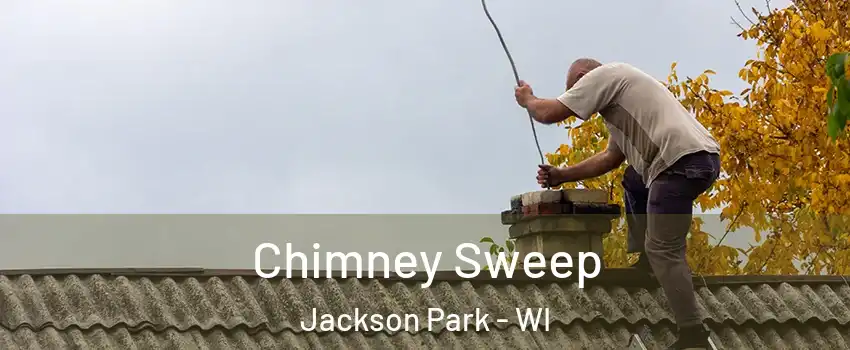 Chimney Sweep Jackson Park - WI