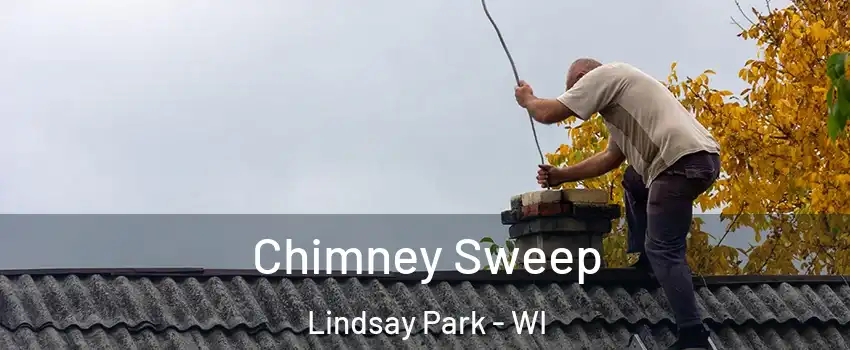 Chimney Sweep Lindsay Park - WI