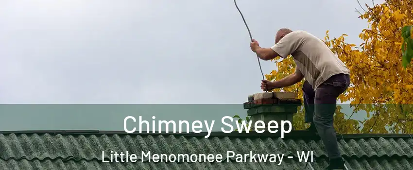 Chimney Sweep Little Menomonee Parkway - WI