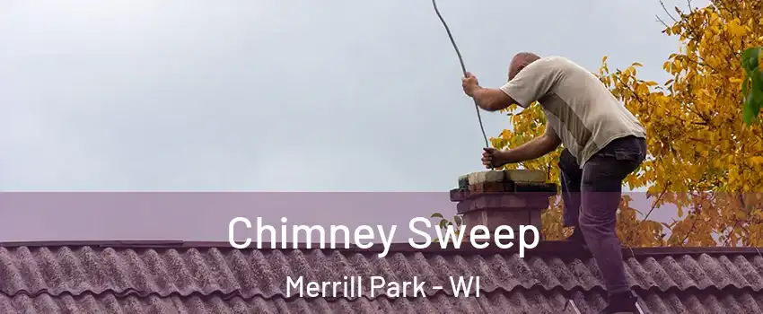 Chimney Sweep Merrill Park - WI