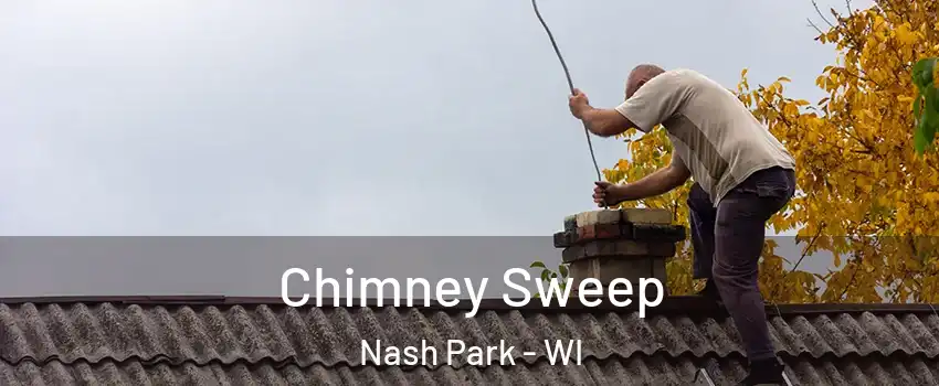 Chimney Sweep Nash Park - WI