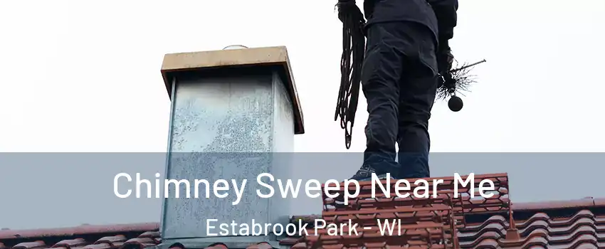 Chimney Sweep Near Me Estabrook Park - WI