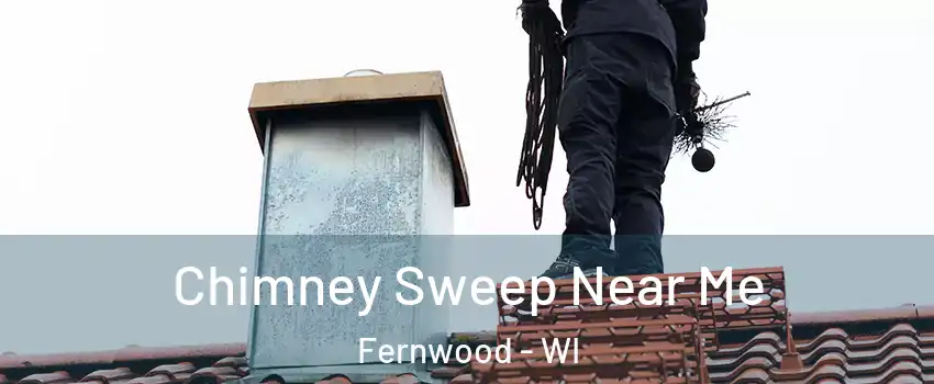 Chimney Sweep Near Me Fernwood - WI