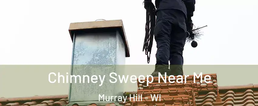 Chimney Sweep Near Me Murray Hill - WI