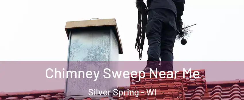 Chimney Sweep Near Me Silver Spring - WI