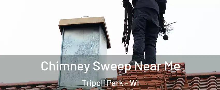 Chimney Sweep Near Me Tripoli Park - WI