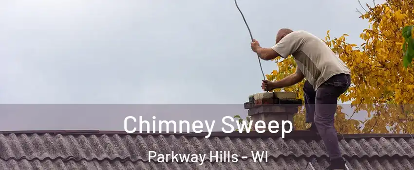 Chimney Sweep Parkway Hills - WI