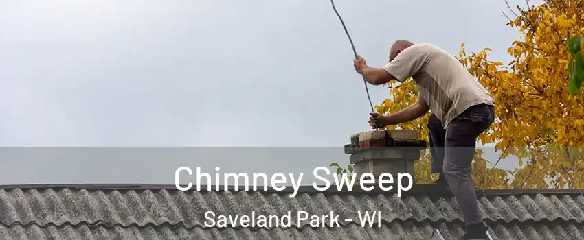 Chimney Sweep Saveland Park - WI