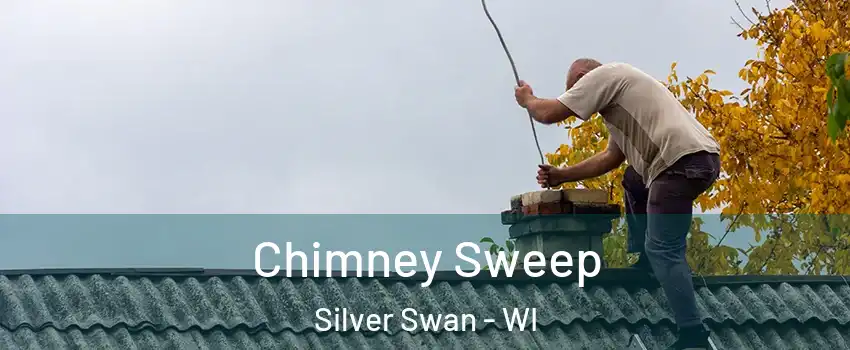 Chimney Sweep Silver Swan - WI