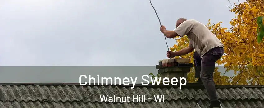 Chimney Sweep Walnut Hill - WI